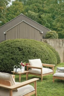 Carrie Portable LED Lantern 35 Carrie Portable LED Lantern -DWR Sales W DWR 2195405 100069256 papyrus teak v3 001