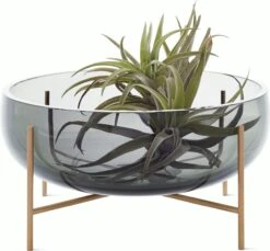 Echasse Bowl -DWR Sales W DWR 2198042 100107361 smoke v1