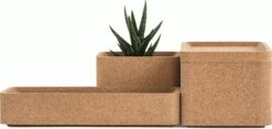 Case Trove Box, Square 17 Case Trove Box, Square -DWR Sales W DWR 2198132 100107883 cork d4 1