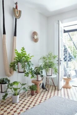 Vitra Nelson Popsicle Clock 9 Vitra Nelson Popsicle Clock -DWR Sales W DWR 2515290 100131855 walnut v1 001