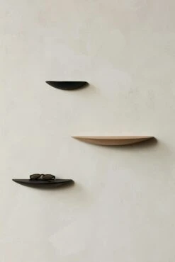 Gridy Fungi Shelf -DWR Sales W DWR 2519207 100192364 black oak d v1