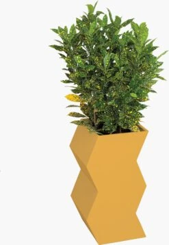 DWR Sales -DWR Sales W DWR 2523677 100196727 mustard a