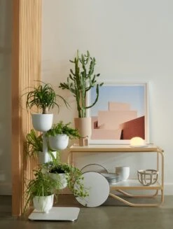 Story Planter 18 Story Planter -DWR Sales W DWR 2530755 100215576 white v4 001