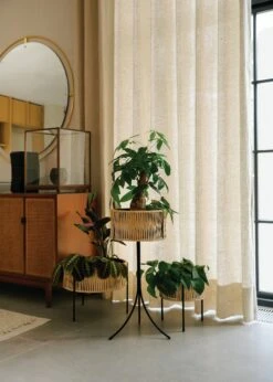 Umanoff Planter 15 Umanoff Planter -DWR Sales W DWR 2531586 100218365 all v2 001