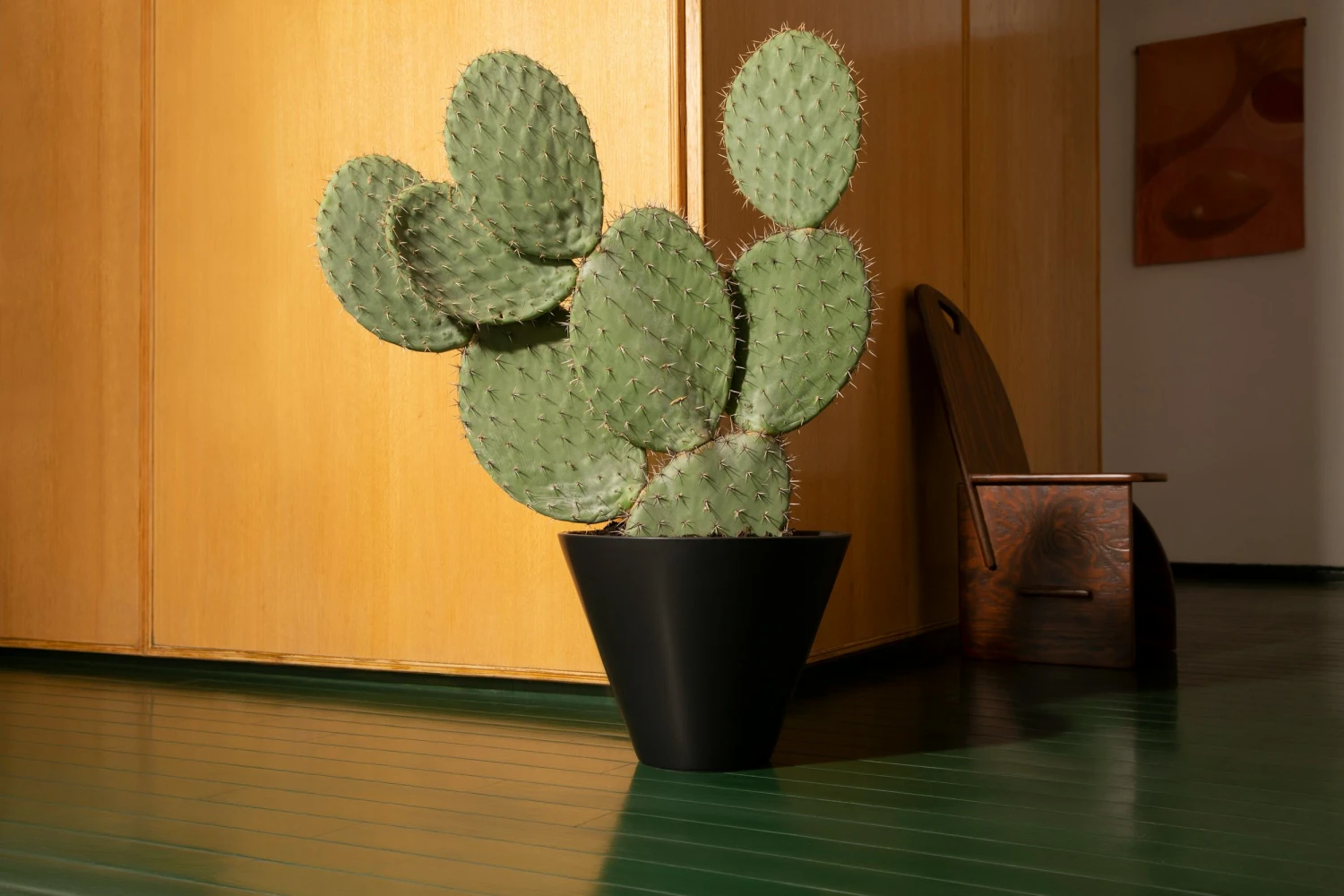 Monstruosus Planter Model Two 4 Monstruosus Planter Model Two - Image 3