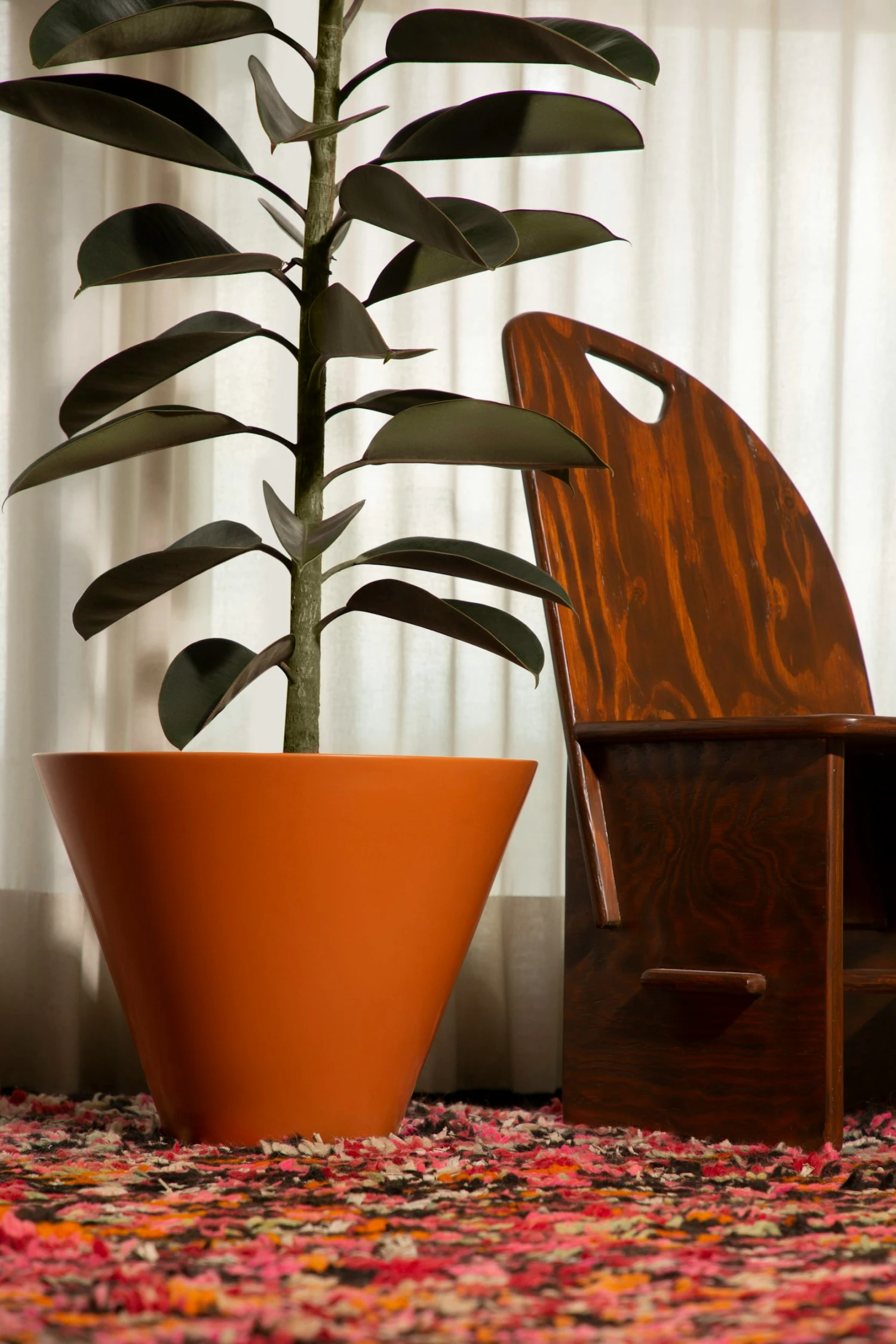 Monstruosus Planter Model Two 3 Monstruosus Planter Model Two - Image 2