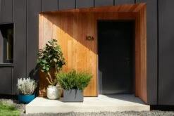 Cup Planter, XL -DWR Sales W DWR 2542031 100309013 deep space v1 001 2