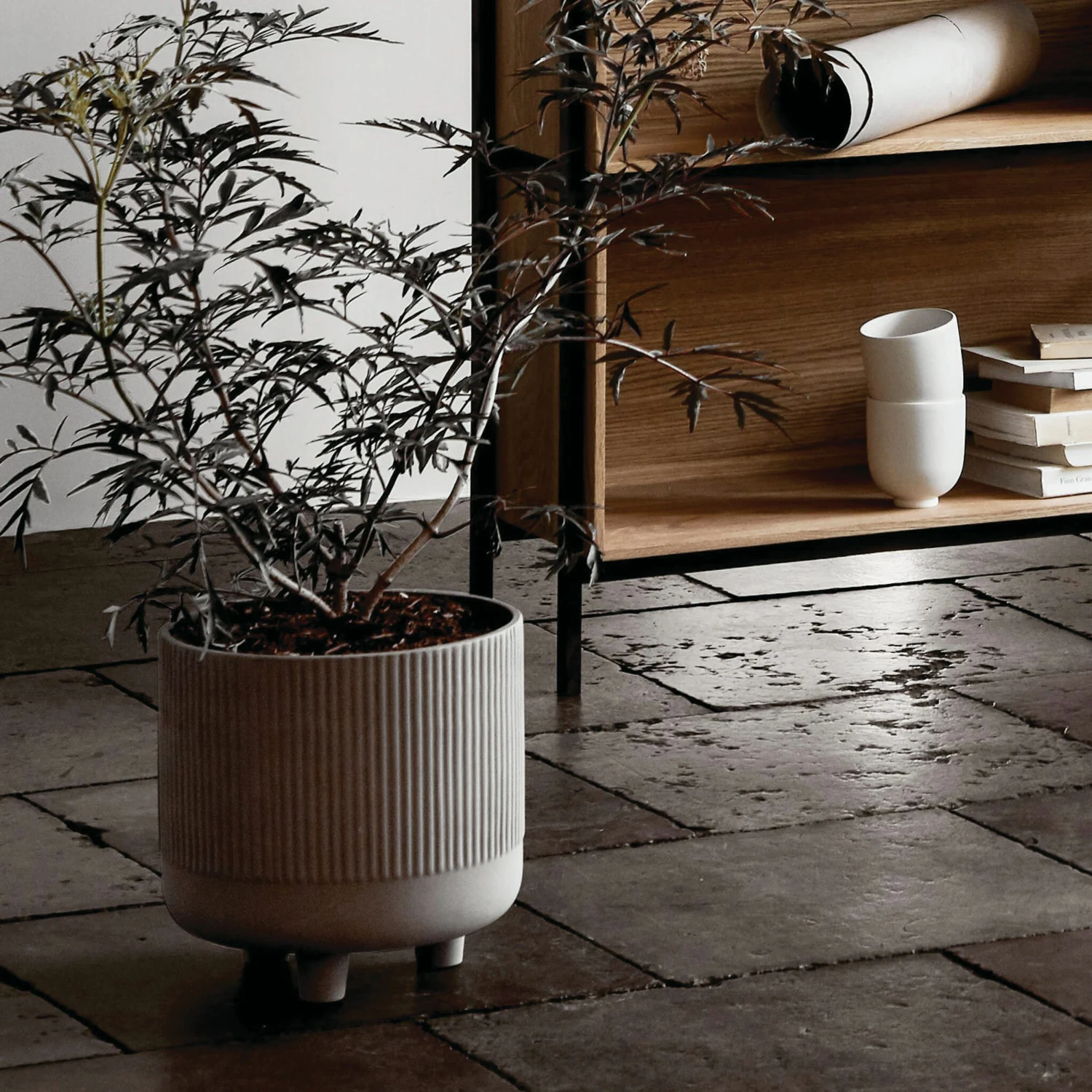 Bowl Planter, XL 9 Bowl Planter, XL - Image 7