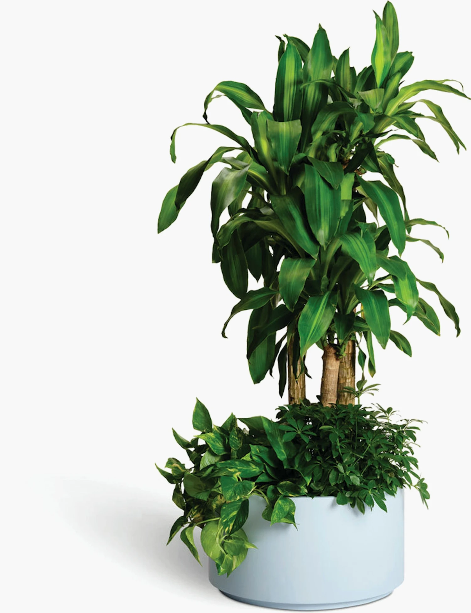 Pieces Row Stacking Planter 3 Pieces Row Stacking Planter