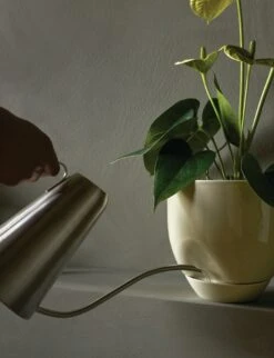 Hydrous Planter -DWR Sales W DWR 2552520 100369522 ashen v4