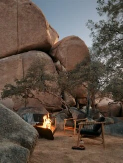 Plodes Petal Fire Pit -DWR Sales W DWR 2555034 100377031 charcoal v1 001