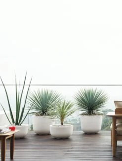 Cup Planter, Large 22 Cup Planter, Large -DWR Sales W DWR 3359 860659 white v1 005