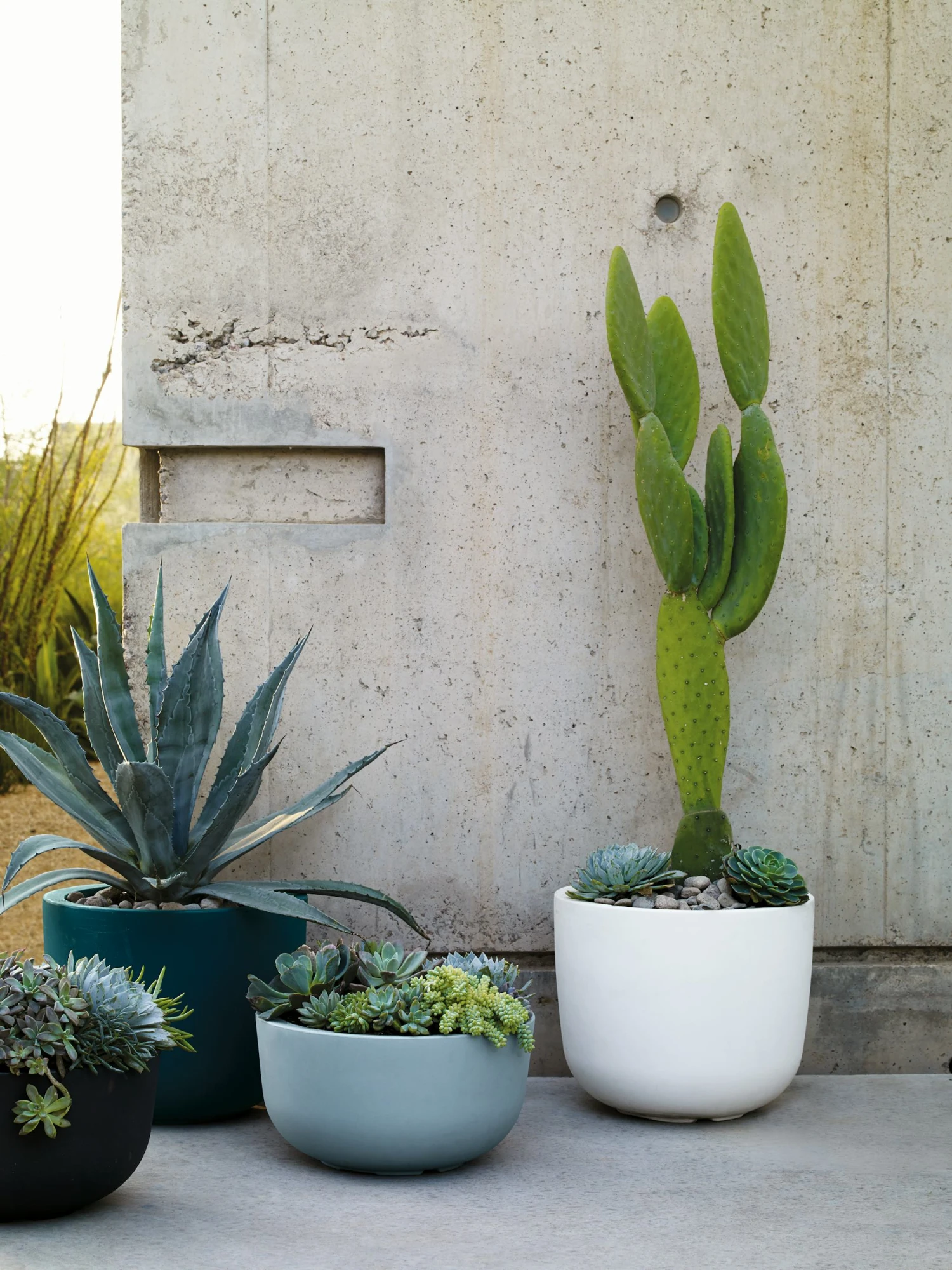 Cup Planter, Large 9 Cup Planter, Large - Image 7