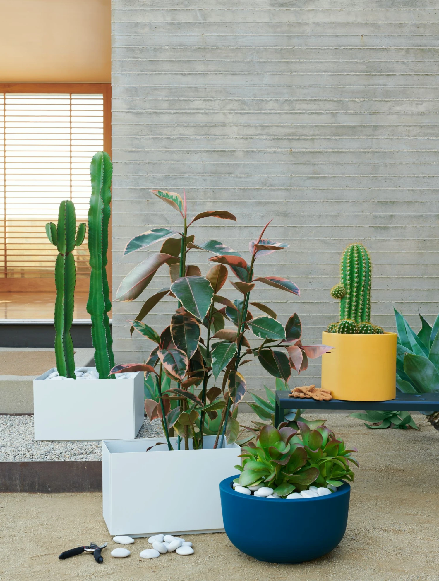 Cup Planter, Large 4 Cup Planter, Large - Image 2