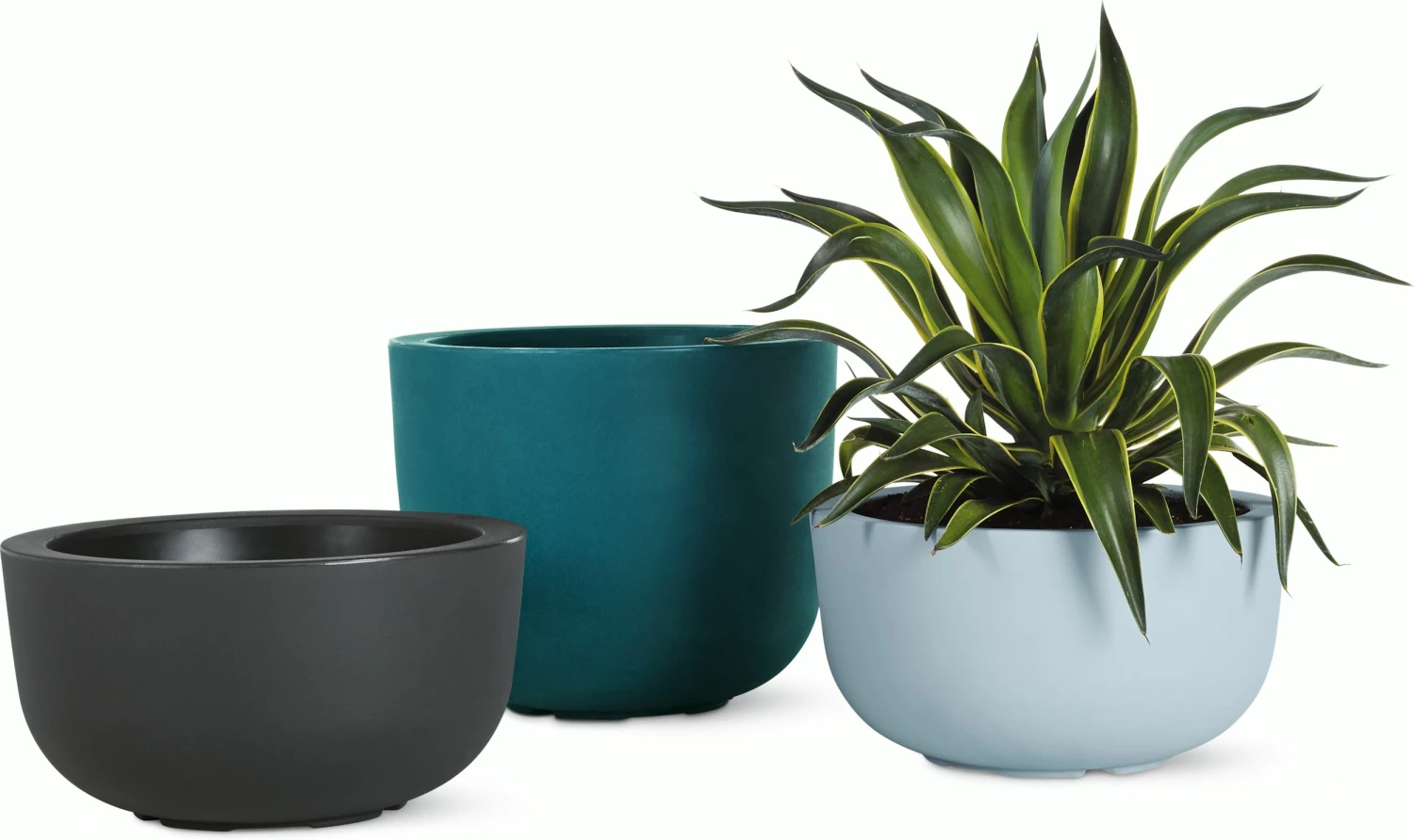 Cup Planter, Large 7 Cup Planter, Large - Image 5