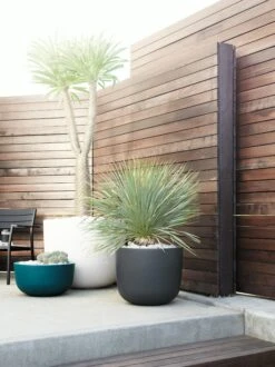 Cup Planter, XL -DWR Sales W DWR 3359 9197549 white v1 002 1