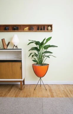 Bullet Planter -DWR Sales W DWR 4193 100340350 medium orange v1