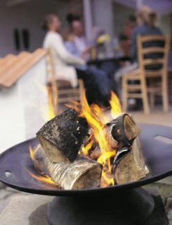 Cast-Iron Fire Bowl 12 Cast-Iron Fire Bowl -DWR Sales W DWR 479 810487 black v1 jpg