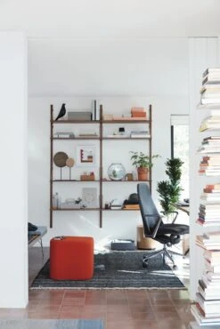 Royal System Shelving -DWR Sales W DWR 7153 100118624 walnut v1 001