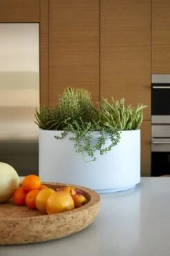 Pieces Row Stacking Planter 7 Pieces Row Stacking Planter -DWR Sales W DWR SU22 AZ EDITORIAL 235