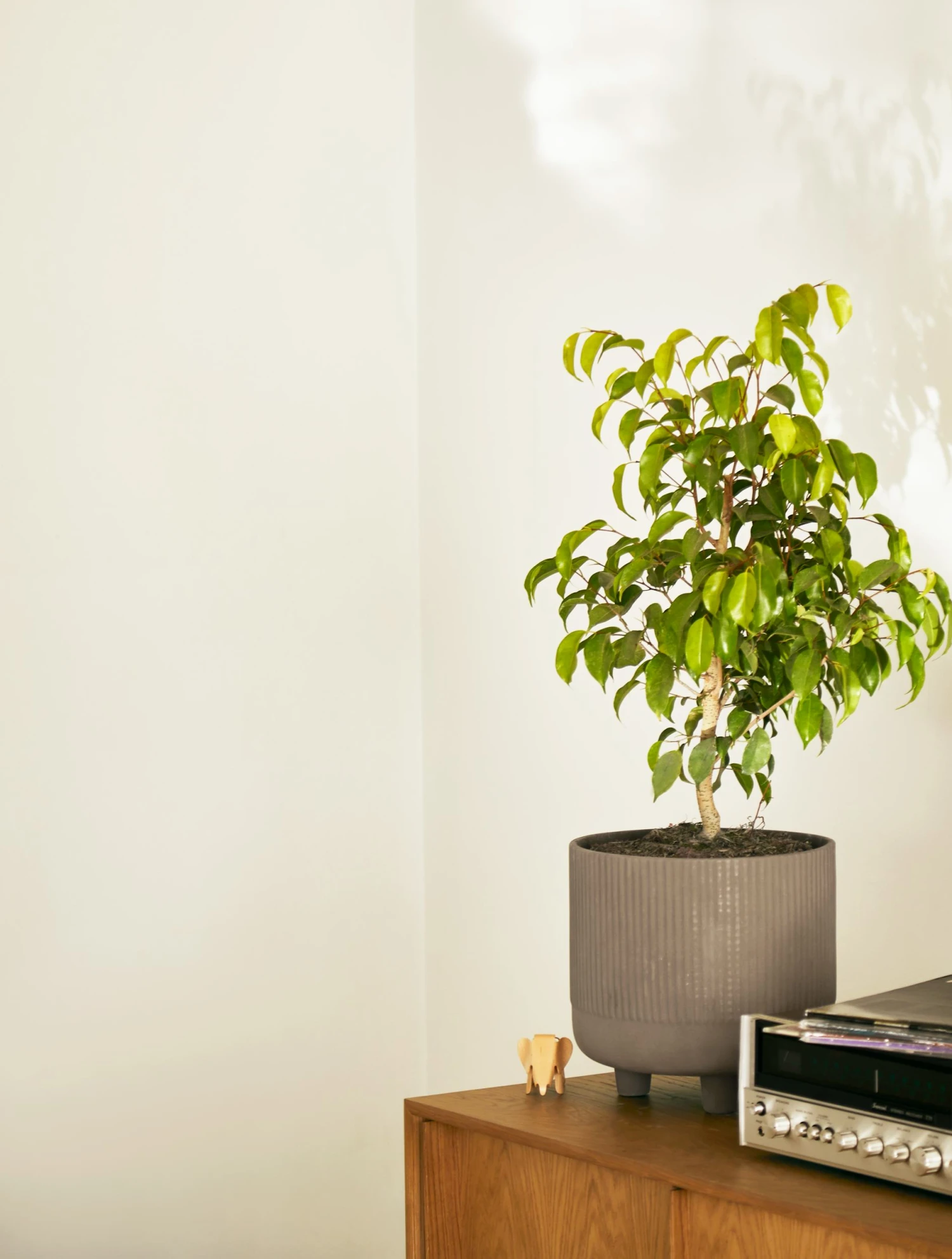 Bowl Planter, XL 4 Bowl Planter, XL - Image 2