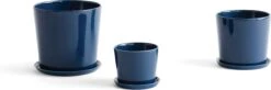 Hay Botanical Family Set -DWR Sales W HAY 2538230 100281017 dark blue all v1