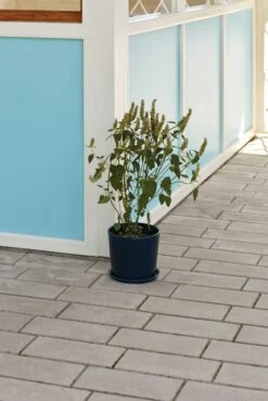 Hay Botanical Family Set -DWR Sales W HAY 2538230 100281019 dark blue v2