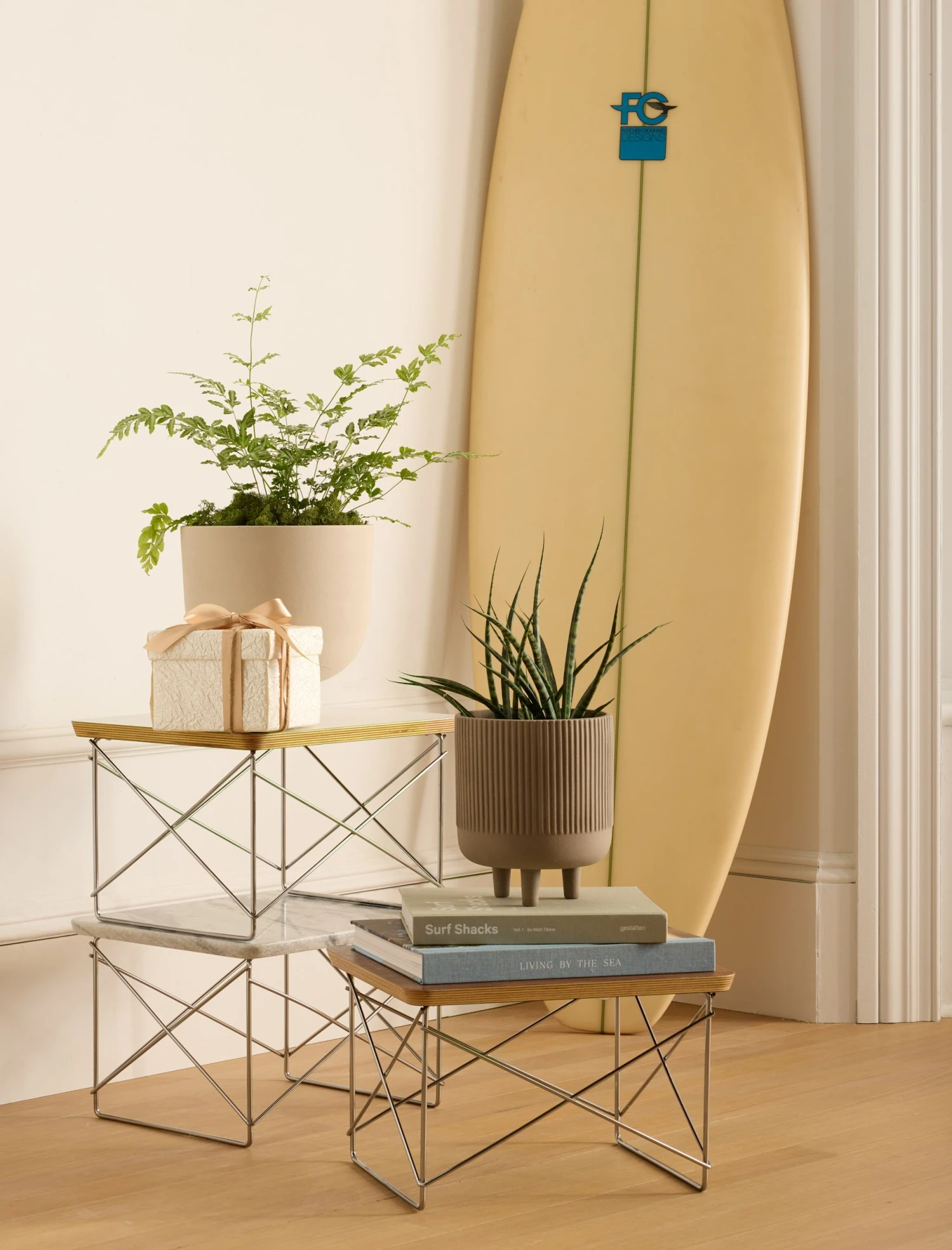 Bowl Planter, XL 5 Bowl Planter, XL - Image 3