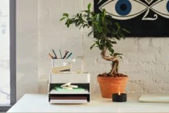 Formwork Paper Tray -DWR Sales W HM 6754 9045130 concrete v1 001